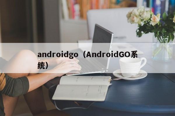 androidgo（AndroidGO系统）
